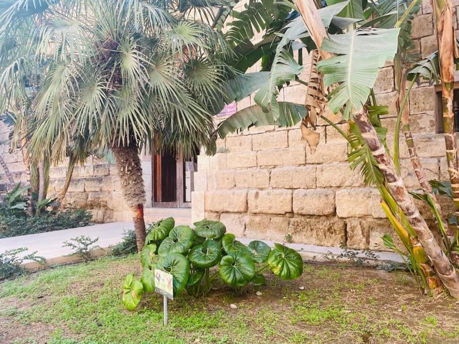 Almariyyat Appartement *